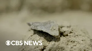 Archaeologists discover ancient tools dating back millions of years