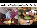 Download Lagu Yosho Hai Yay Yay Making Mochi vs Ay Yay Yay Yay Ya