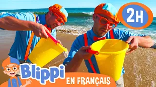 Apprends à La Plage Blippi En Français Vidéos éducatives Pour Enfants 