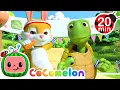 Download Lagu The Hare and the Tortoise Race! 🏁 | 🍉 CoComelon - JJ's Baby Songs 🎶