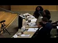 WATCH LIVE House Democrats Hold Hearing on ICE Killing of Johan Sebastian Duran Guerrero
