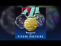 Picard Brothers - Won't Let Go (Todd Edwards Vocal Mix)