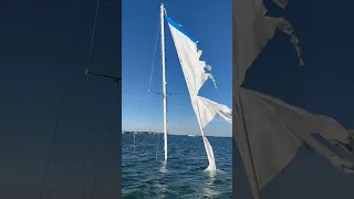 Somewhere in the Great State of Florida ⛵️