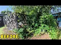 Download Lagu Creating a Better Learning Environment! Transforming School Garden
