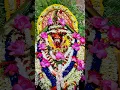 Download Lagu o matara tokachara #shortsvideo #song