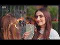 Ok Hoye Paye Haan - Arjan Dhillon
