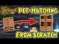 Wizard101 Pet-Making from Scratch
