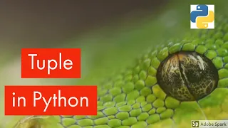 Tuples in Python Tutorial 16