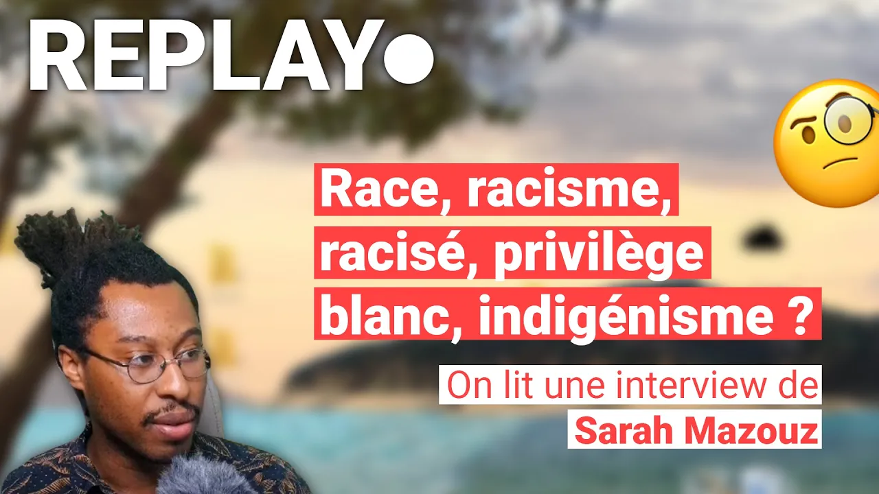 Vocabulaire - Race, racisme, racisé, privilège blanc, indigénisme ? - Revue de presse décoloniale #5