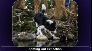 Achieve 3000 Answers Sniffing Out Extinction