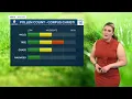 Allergy Forecast