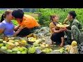 Download Lagu Harvesting the cucumber garden to sell at the market - Taking care of the garden | Linh's Life