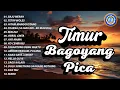 Download Lagu Lagu Timur - Timur Bagoyang Pica || FULL ALBUM TIMUR (Official Music Video)