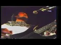 Download Lagu Rhoma Irama--Judi ( Kamera Ria )