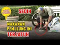 Download Lagu MAKANAN PEMULUNG TERJATUH | Social Experiment