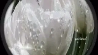 اوښکی ئی مخ باندی بهیږی حضرت بلال ژړیږی یار تری پشتو نعت شریفغږ قاضی ملا عادل کلام لالی سمسور 