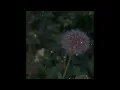 sigala, the vamps - we don't care [slowed]