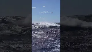 Indian Ocean 1200 nautical miles from land – new episode is up link in the comments #sailing