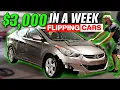 I Made Over 3000 In A Week Flipping Cars Car Flip 101