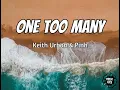 Lagu Keith Urban - One Too Many ft. Pink (Lyrics)