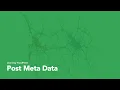 WordPress Post Meta Data