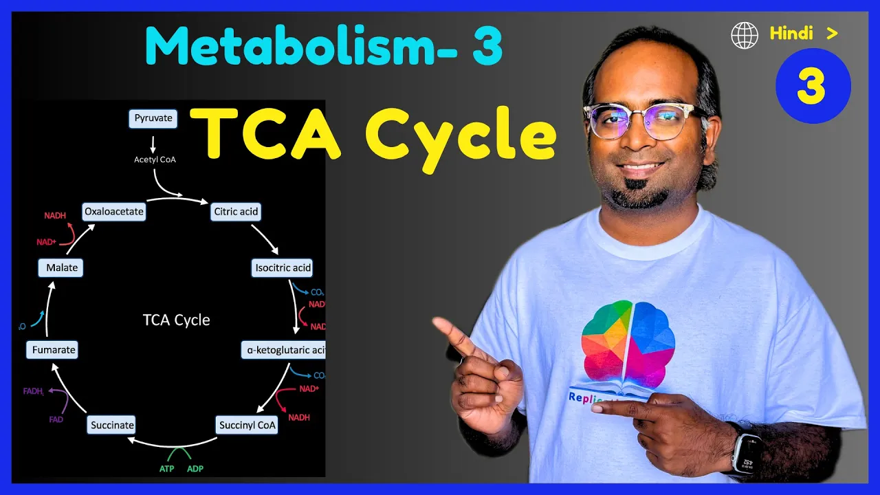 Metabolism III | TCA Cycle | Why KREB CYCLE is AMPHIBOLIC | Series 2020 | CSIR NET LIFE SCIENCE
