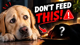 Your Dog May Be Eating Something Harmful!