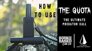 How to Use THE QUOTA Predator Call