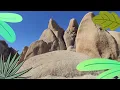 SPIRIT OF THE JUNGLE: 03 Incl. Oliver Koletzki, Mose, Trippin Jaguar, Kalaman. Downtempo Electronica