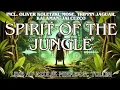 Download Lagu SPIRIT OF THE JUNGLE: 03 Incl. Oliver Koletzki, Mose, Trippin Jaguar, Kalaman. Downtempo Electronica