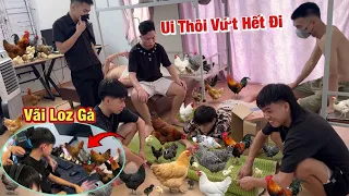 Tùng Bỏng Mang Gà Vào Phòng Ngủ Nuôi Cùng Ae Và Cái Kết