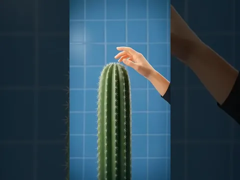 شلون تزيل اشواك الصبار 🌵