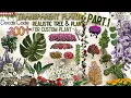 Transparent Plant Decals Part1 Decals Ids Bloxburg ROBLOX