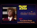 The Byrds  "GOIN' BACK"  2023 True Stereo Remix With Unlocked Harmony Vocals