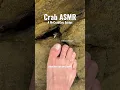 Download Lagu Crab Pedicure ASMR Sounds! 🤯🦀🦶#shorts