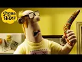 Download Lagu Shaun the Sheep 🐑 Mystery Present 😲🎁 Full Episodes Compilation [1 hour]