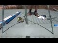 4G MiMo antenna installation and router upgrade
