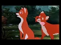 Animash-Close