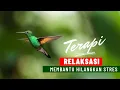 Lagu Suara Hujan dan Burung Untuk Relaksasi | Meditasi, Terapi Pengantar tidur \u0026 Menghilangkan Stres