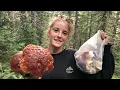 Identifying King Bolete Mushrooms Guide for the Beginner