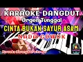 CINTA BUKAN SAYUR ASEM_INE Shintya_-_ KARAOKE NADA COWOK
