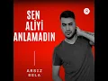 Sen Aliyi Anlamadın