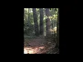 Komorebi (2019) for flute and piano
