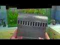 Finding Nemo - Now what