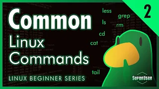 Linux for Programmers Linux Filesystem and Common Commands