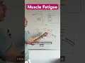 Lagu Cause of #muscle #fatigue