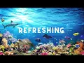 Refreshing – By Megan Wofford - Enjoyable Relaxation Music