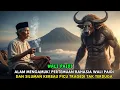 Lagu VIRAL ‼️ Alam Mengamuk! Pertemuan Rahasia Wali Paidi dan Siluman Kerbau Picu Tragedi Tak Terduga