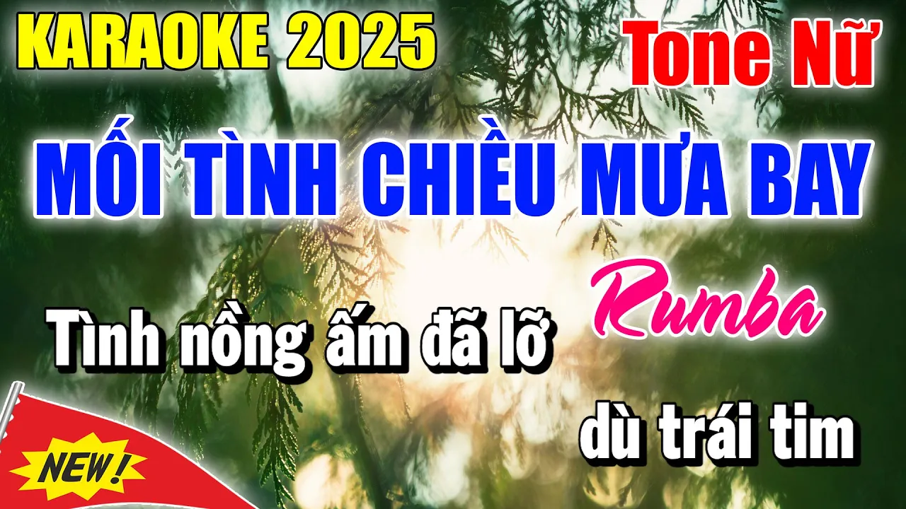 Mối Tình Chiều Mưa Bay 