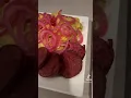 Download Lagu Making mangu!! #tiktok #mangu #smallyoutuber #food